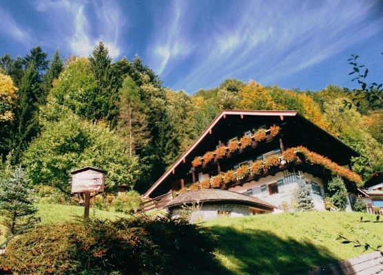 Gästehaus Bergwald 1
