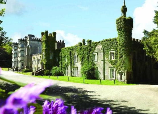 Ballyseede Castle 1