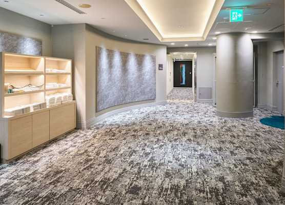 Villa Fontaine Tokyo Nihombashi Mitsukoshimae 1