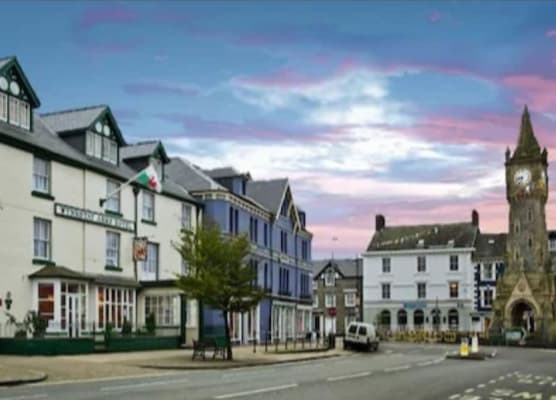The Wynnstay 1