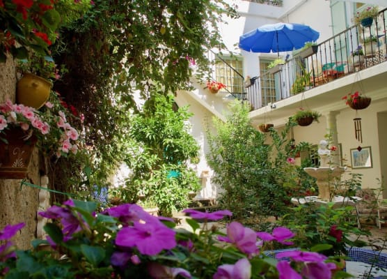 Villa Rosa Béziers 1
