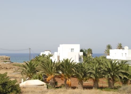 Sunshine Garden 1