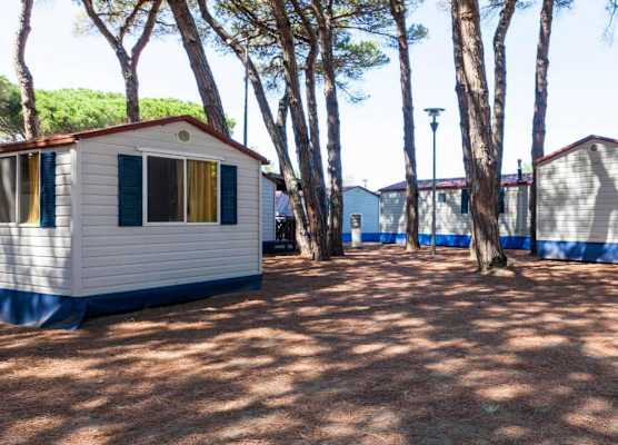 Pineta Sul Mare Camping Village 1