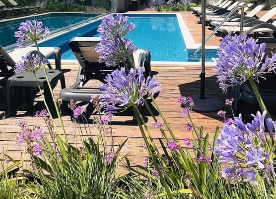 Rooms Oasis Life 1