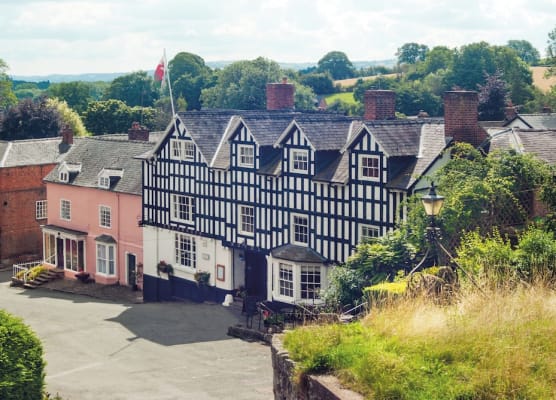 The Dragon Hotel 1
