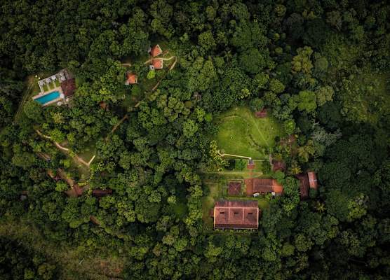 Living Heritage Koslanda 1