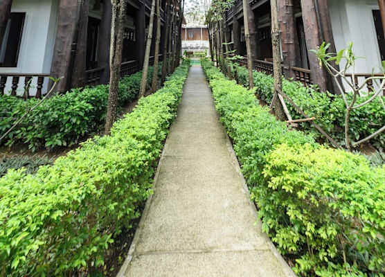 Treasure Heritage Luang Prabang Hotel 1