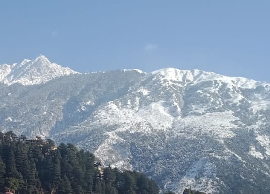 Hotel Hill Town 1