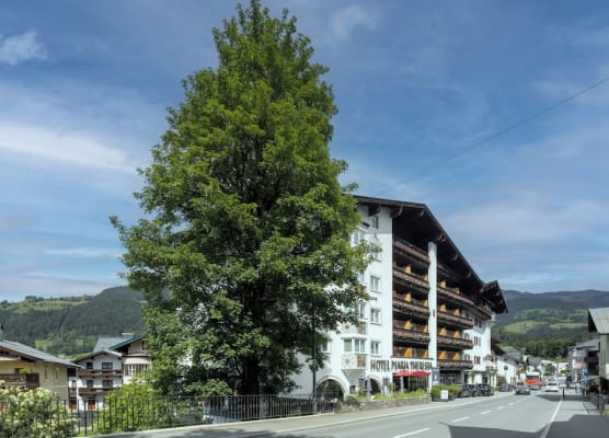 Q! Hotel Maria Theresia 1