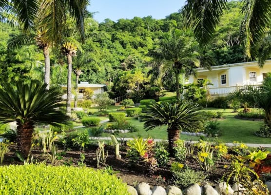 Blue Horizons Garden Resort 1