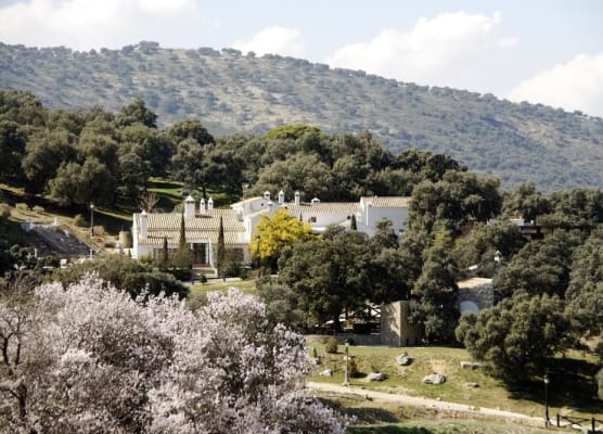 Hotel Finca Los Pilares de Ronda 1