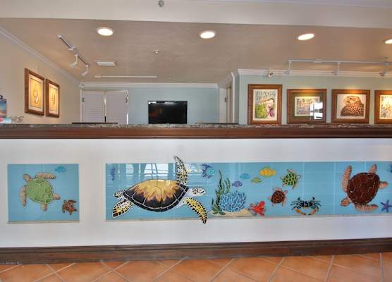 Tortuga Inn Beach Resort Unit #229 1