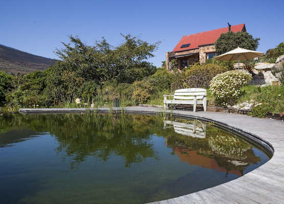 Leopardstone Hill 1