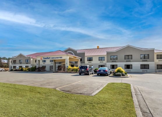 Comfort Inn & Suites Leeds I-20 1