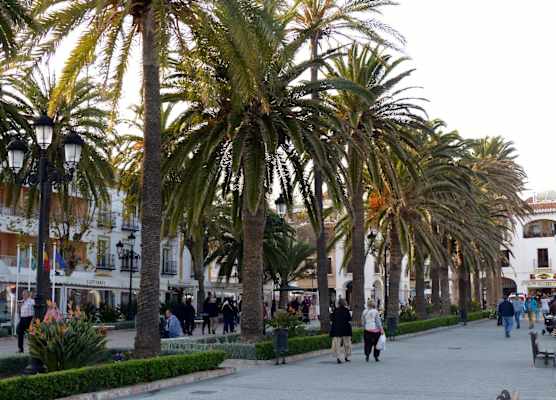 Hostal Dianes 1