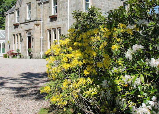 Ravenscourt House, Guest House 1