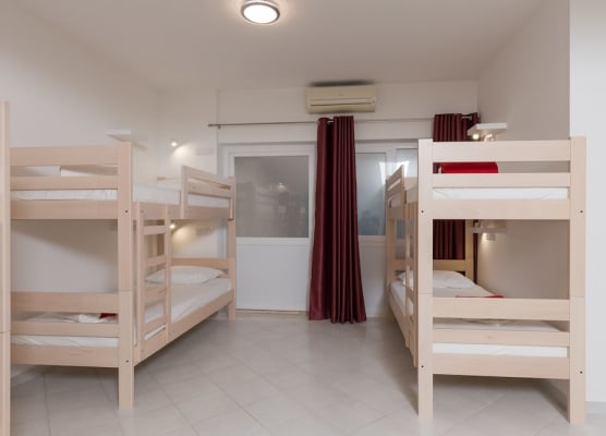 Hostel Free Bird 1