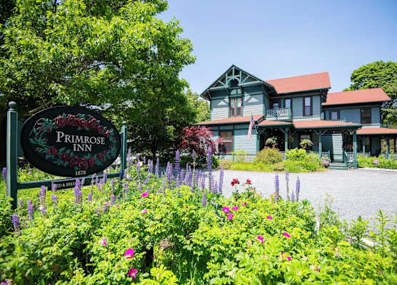 The Primrose 1