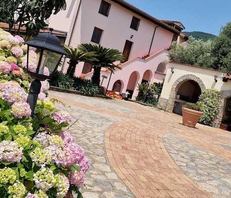 Tenuta D'Arienzo 1