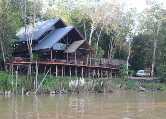 Borneo Natural Sukau Bilit Resort 1