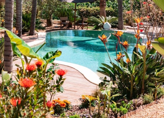 Cannes Villa St Barth 1
