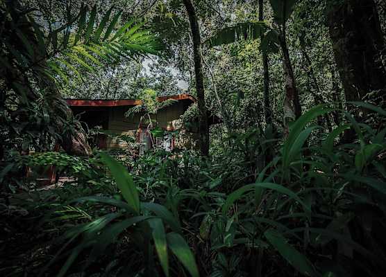 Jaguarundi Lodge 1