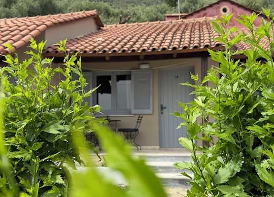 Olga's Sea & Garden View Studios, 400m from Ipsos Beach 1