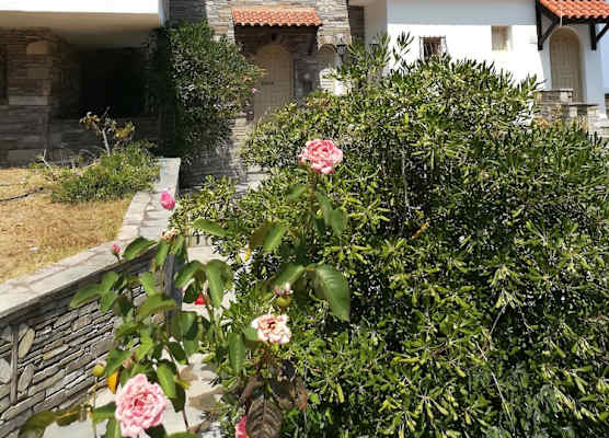Pietra mare vourvourou 1