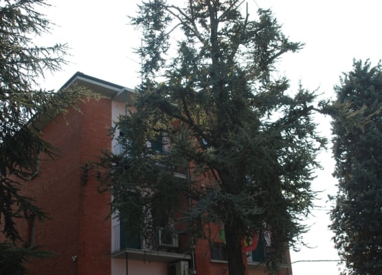 Hotel Tuscolano 1