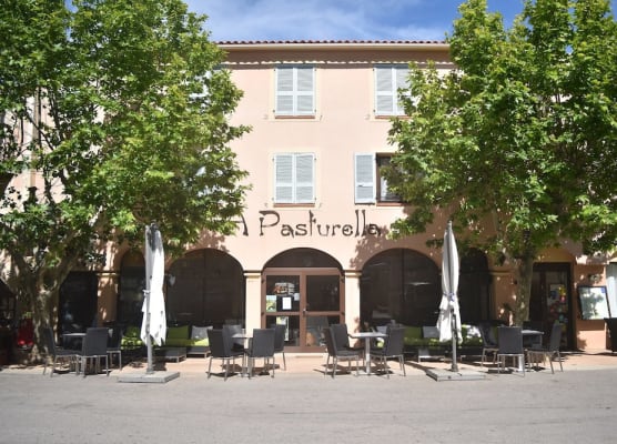 A Pasturella 1