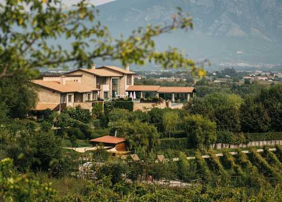 Tenuta Pezzapane 1
