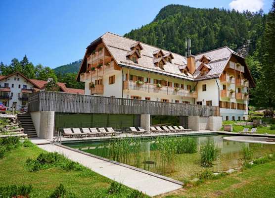 Hotel Plesnik Logar Valley 1