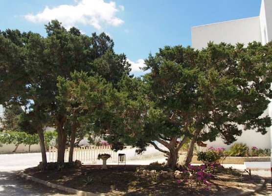 Hotel Lago Playa I 1