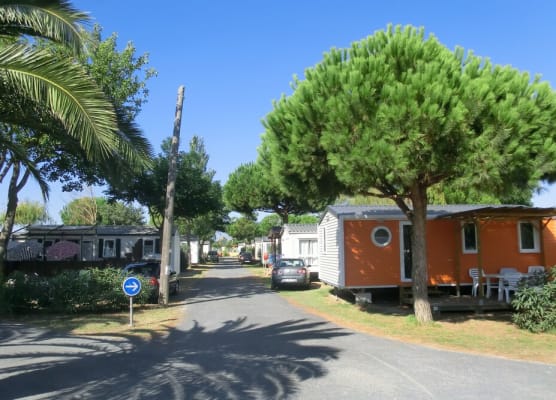 Camping Le Soleil de la Méditerrannée 1