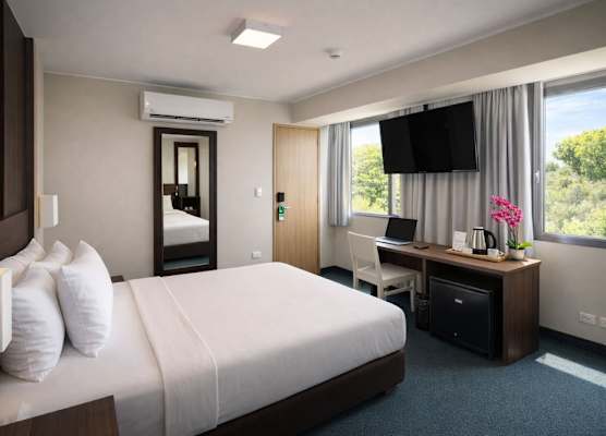 Palmetto Hotel Business San Miguel 1