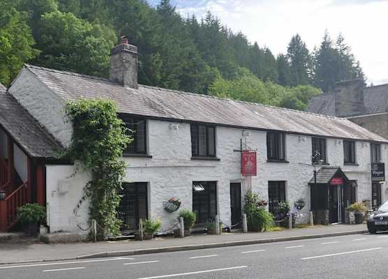 Dragon Bed and Breakfast 1