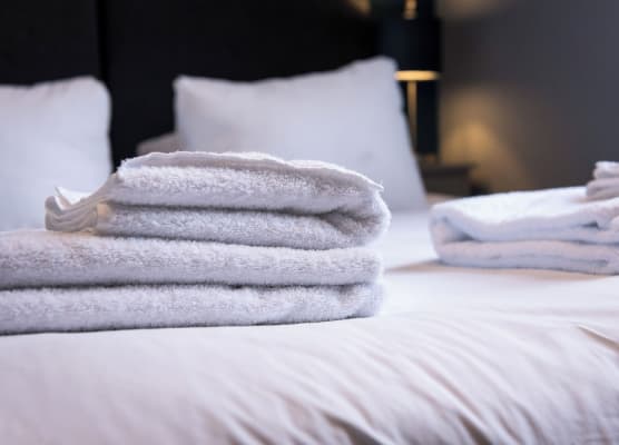 Arena Apartments - Stylish and Homely Apartments by the Ice Arena with Parking 1