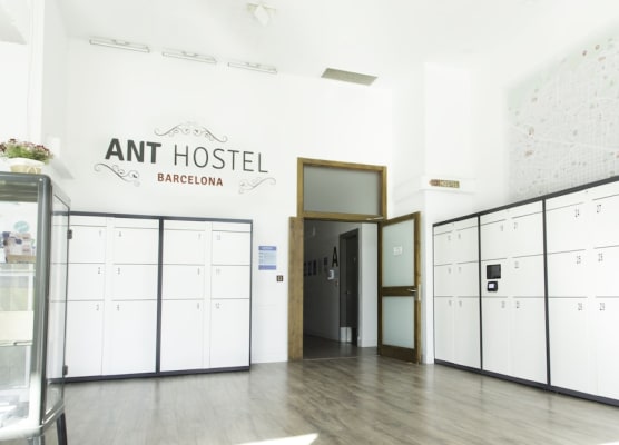 Ant Hostel Barcelona 1