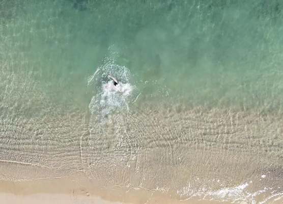 Z-Villas Beach Hotel 1