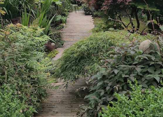 Tropical Garden Oasis 1