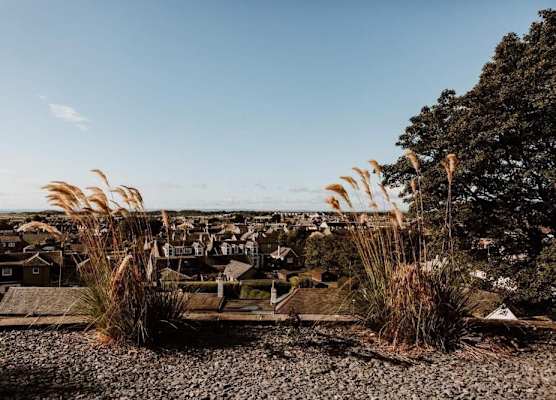 Morven Guest House Carnoustie 1