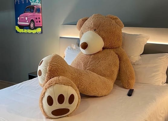 Arryvo Hotel 1