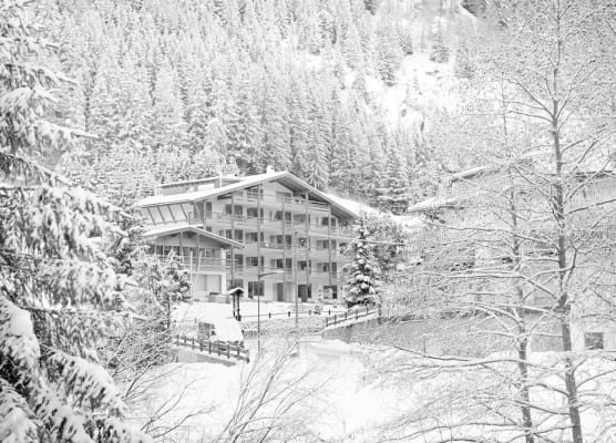 ArtHotel Anterleghes - Gardenahotels 1