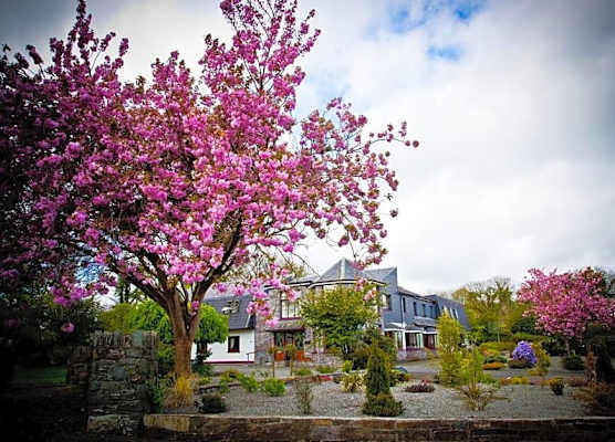 Kathleens Country House 1