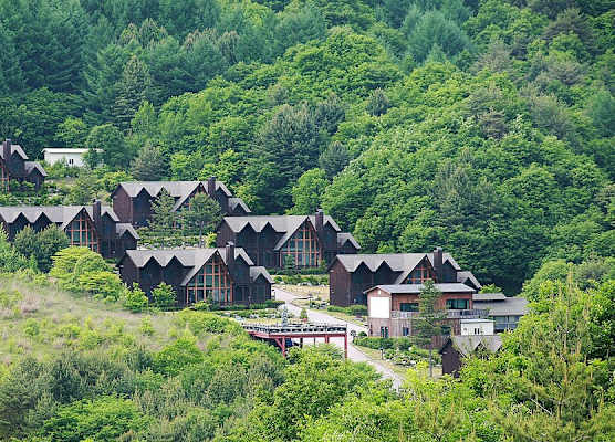 Chalet Resort 1