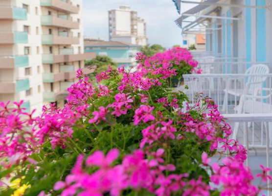 Hotel Athena 1