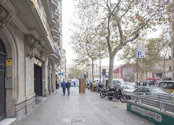 Alcam Classic Urgell 1