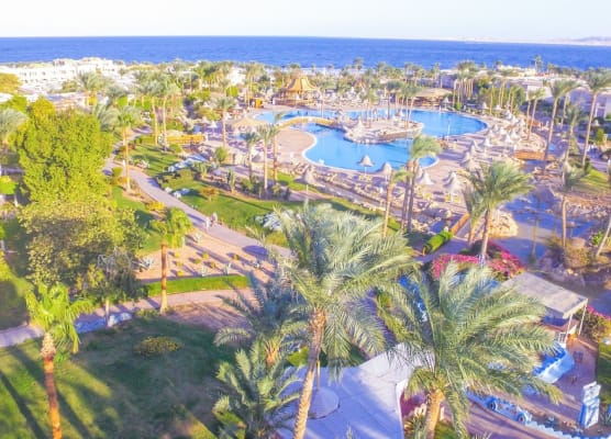 Parrotel Beach Resort 1