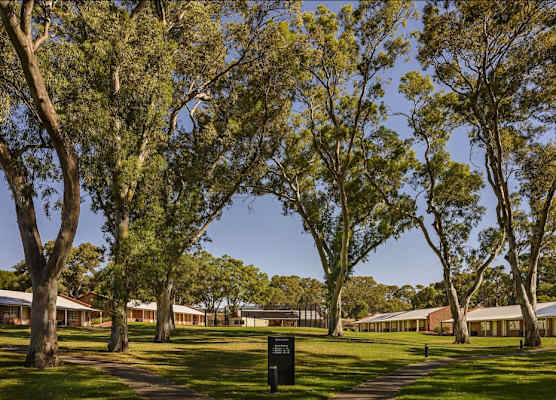 Serafino McLaren Vale 1