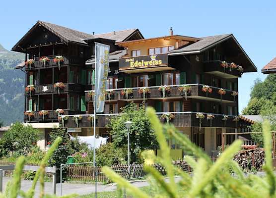 Hotel Edelweiss 1
